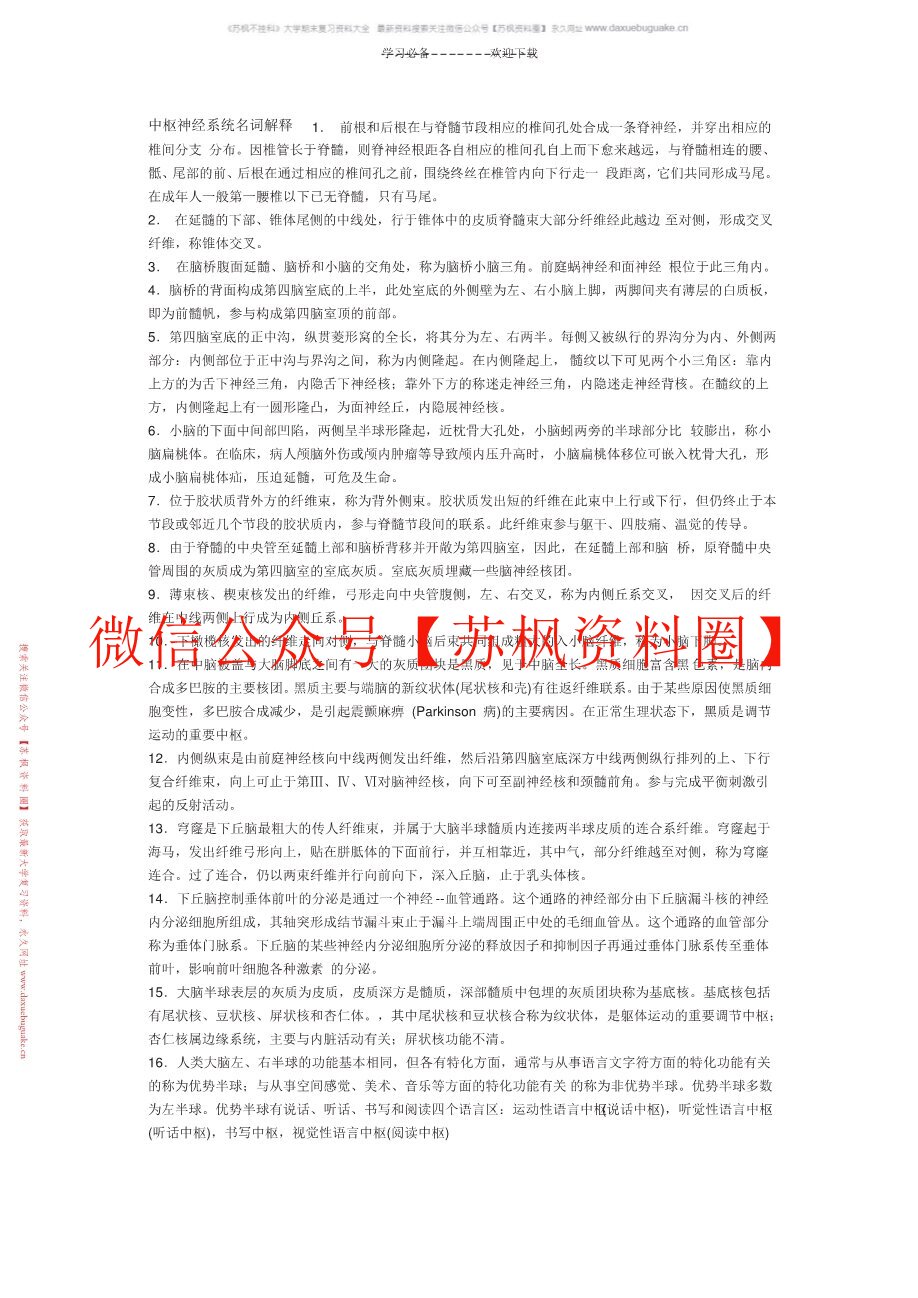 中枢神经系统
